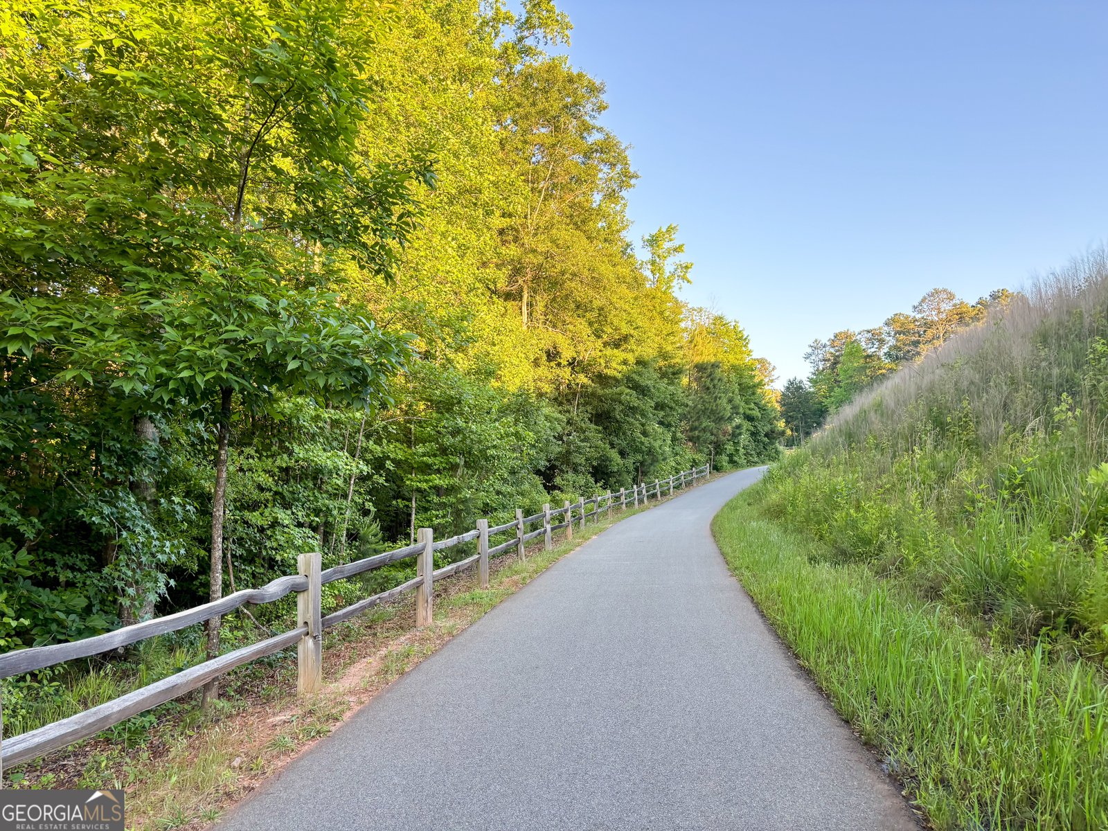 195 Southridge Senoia - Photo 50