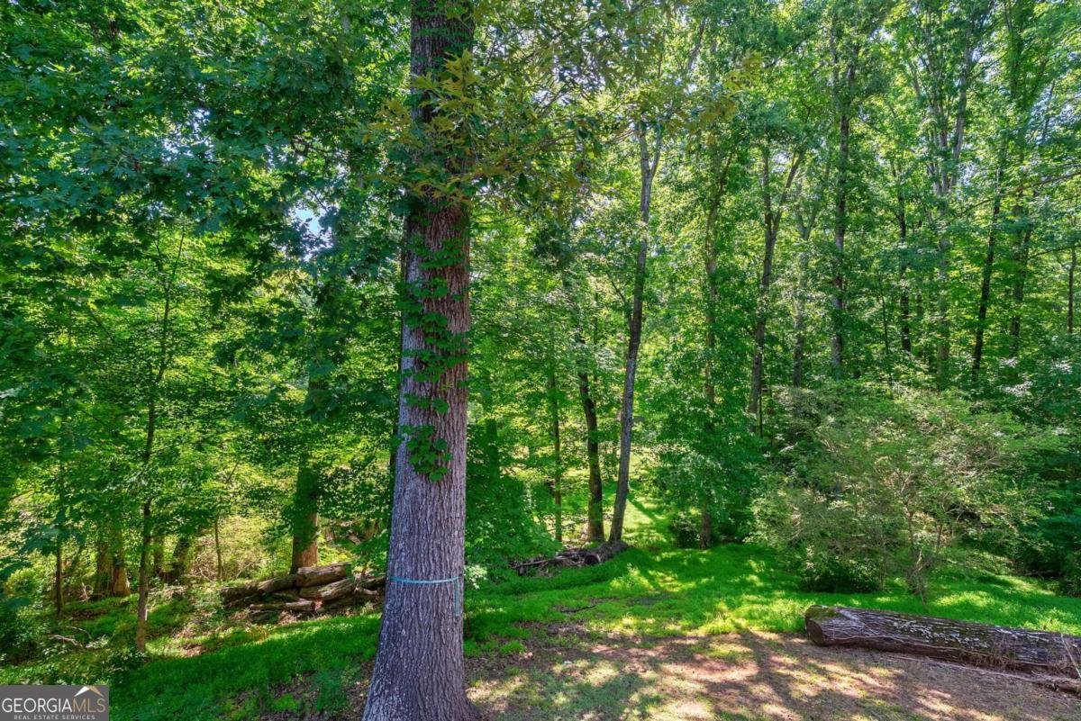 115 Curtis Drive Athens - Photo 45