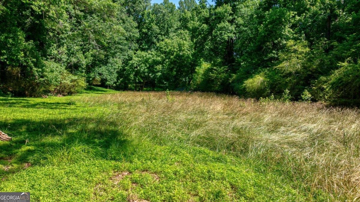 115 Curtis Drive Athens - Photo 54