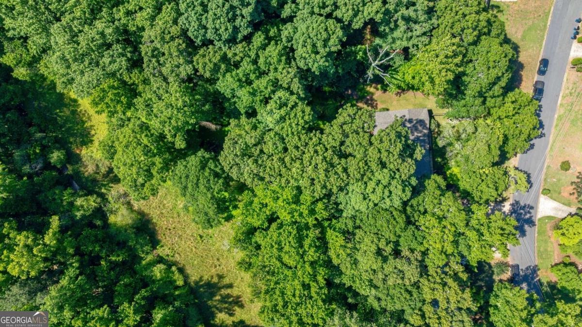 115 Curtis Drive Athens - Photo 57