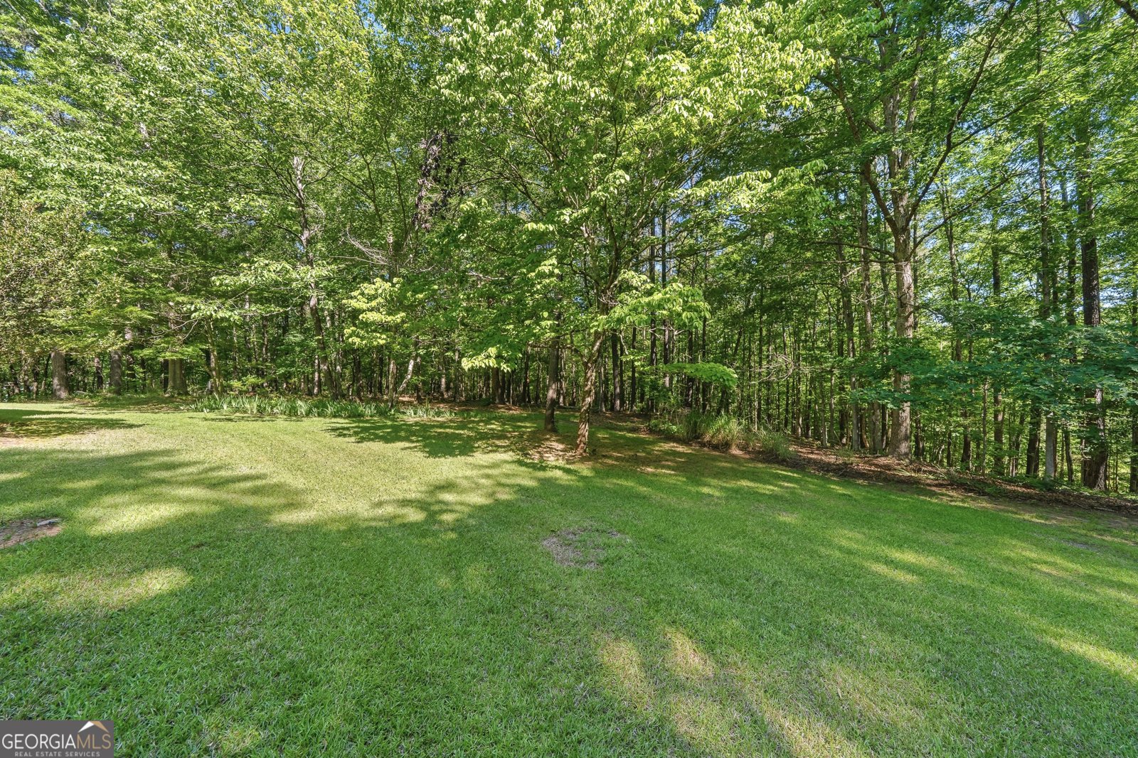 393 Fairplay Street Rutledge - Photo 51