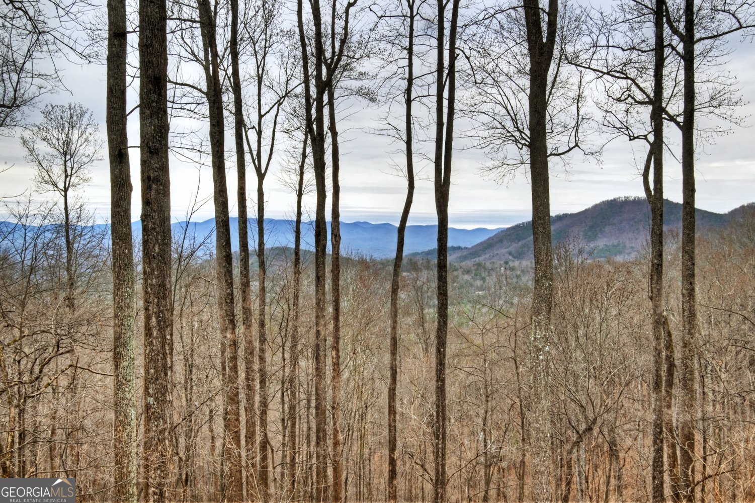 1189 Walnut Ridge Ellijay - Photo 36