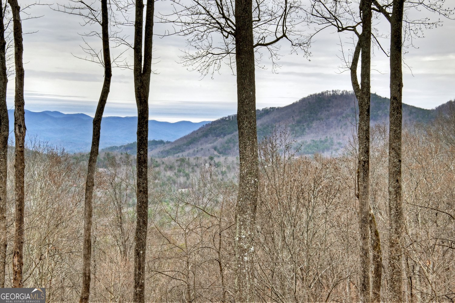 1189 Walnut Ridge Ellijay - Photo 37