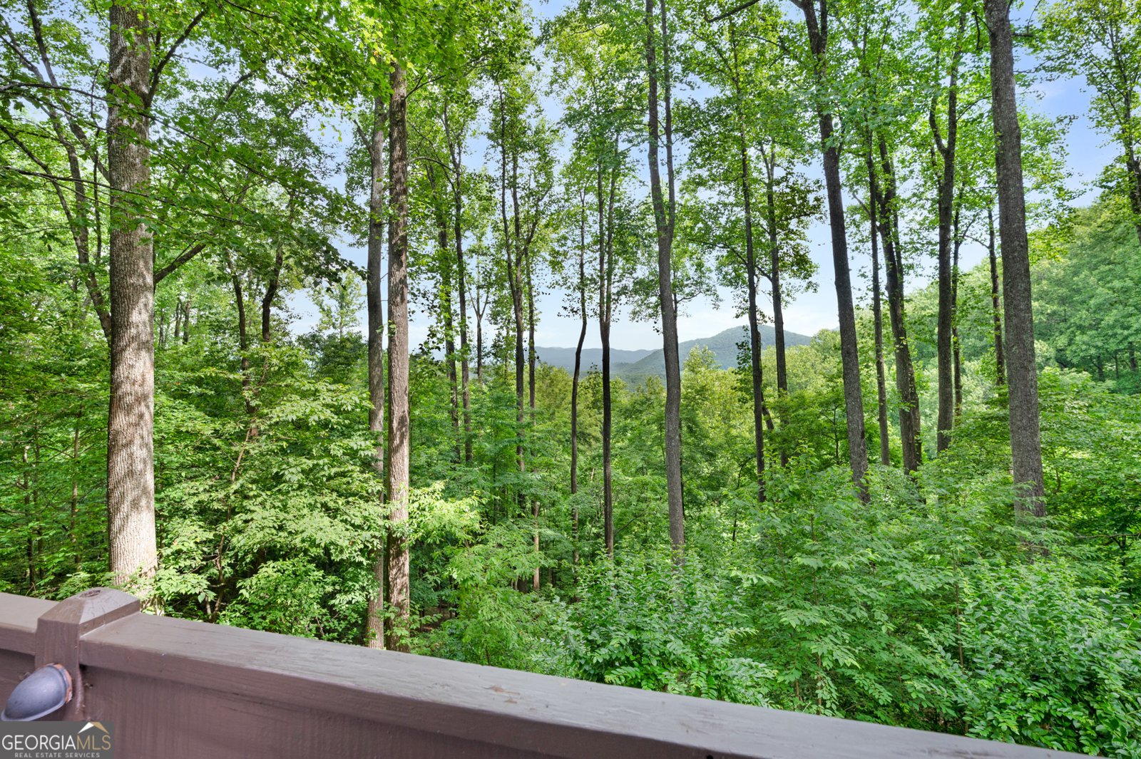 1189 Walnut Ridge Ellijay - Photo 51