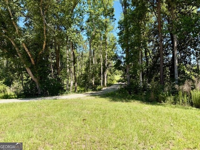 1102 Morgan Road Metter - Photo 14
