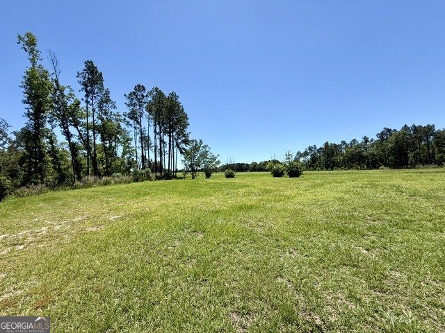 1102 Morgan Road Metter - Photo 52