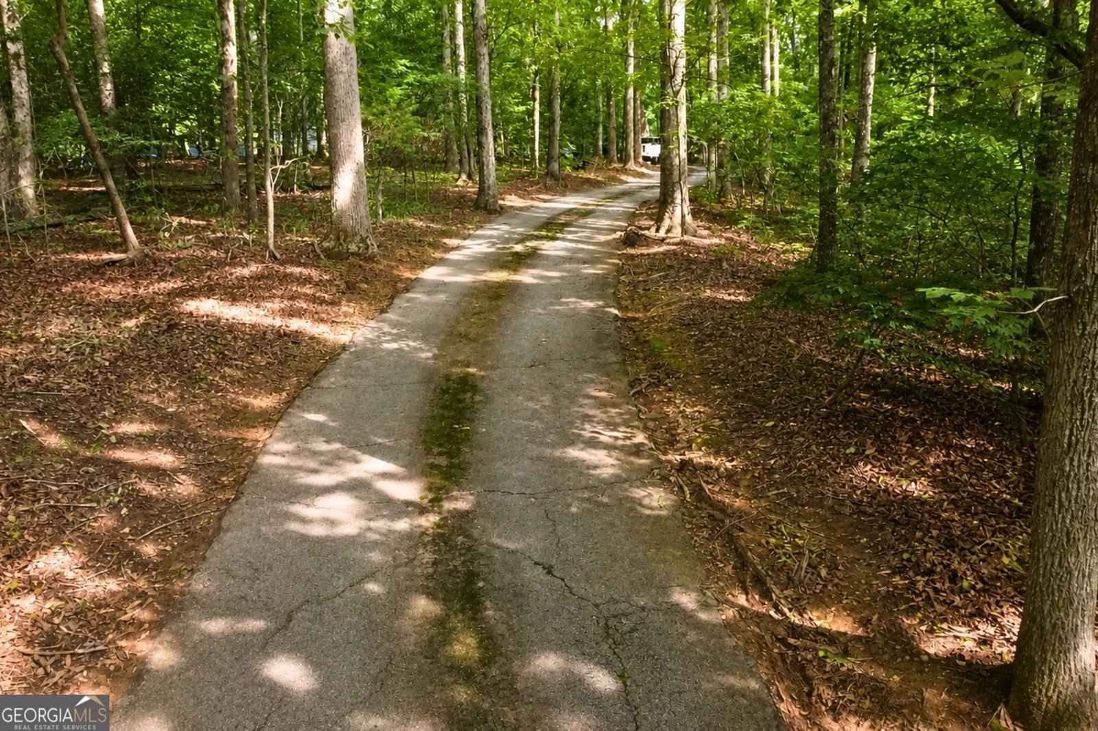 365 Riverridge Trail Oxford - Photo 34