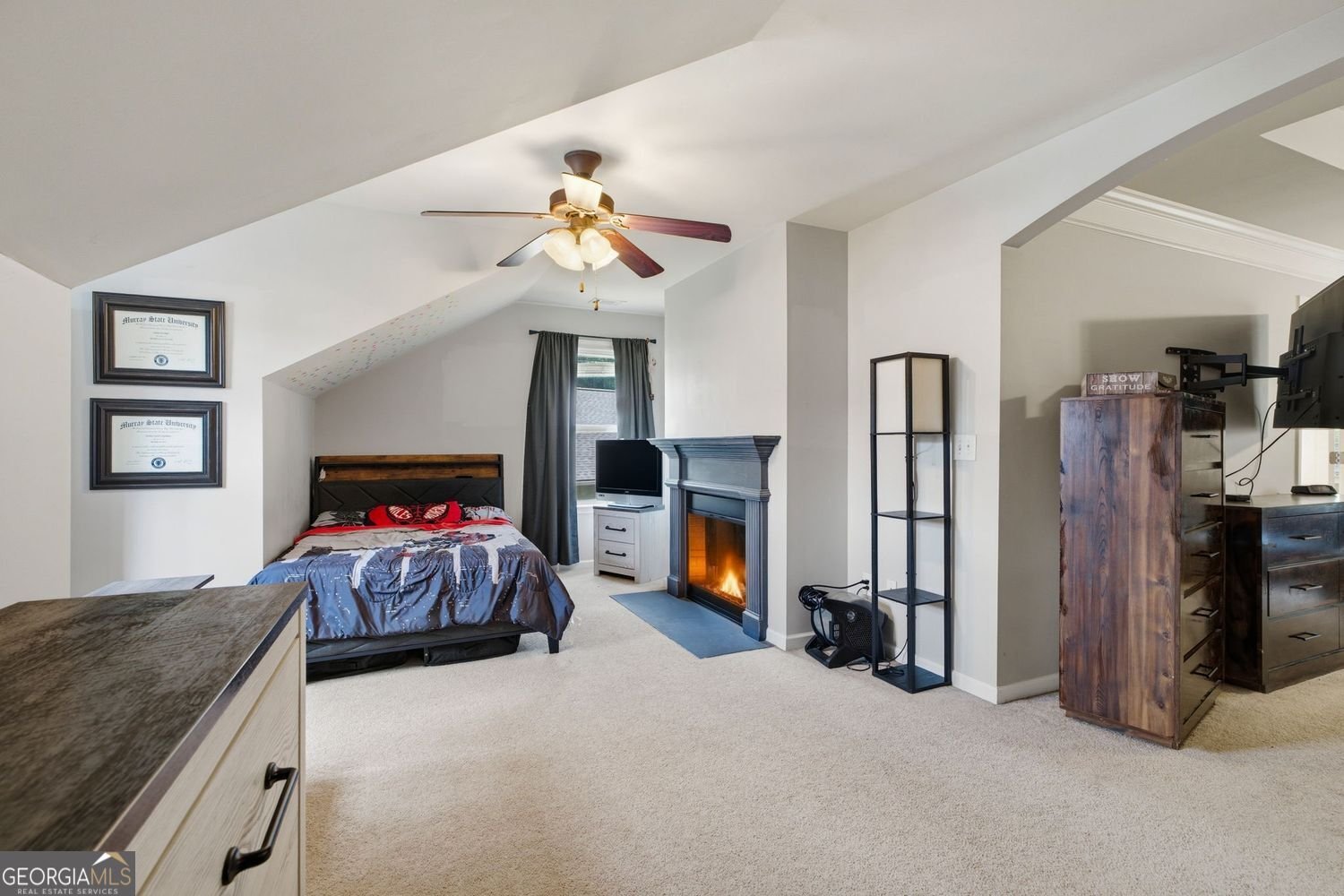 636 Sunflower Drive Canton - Photo 28