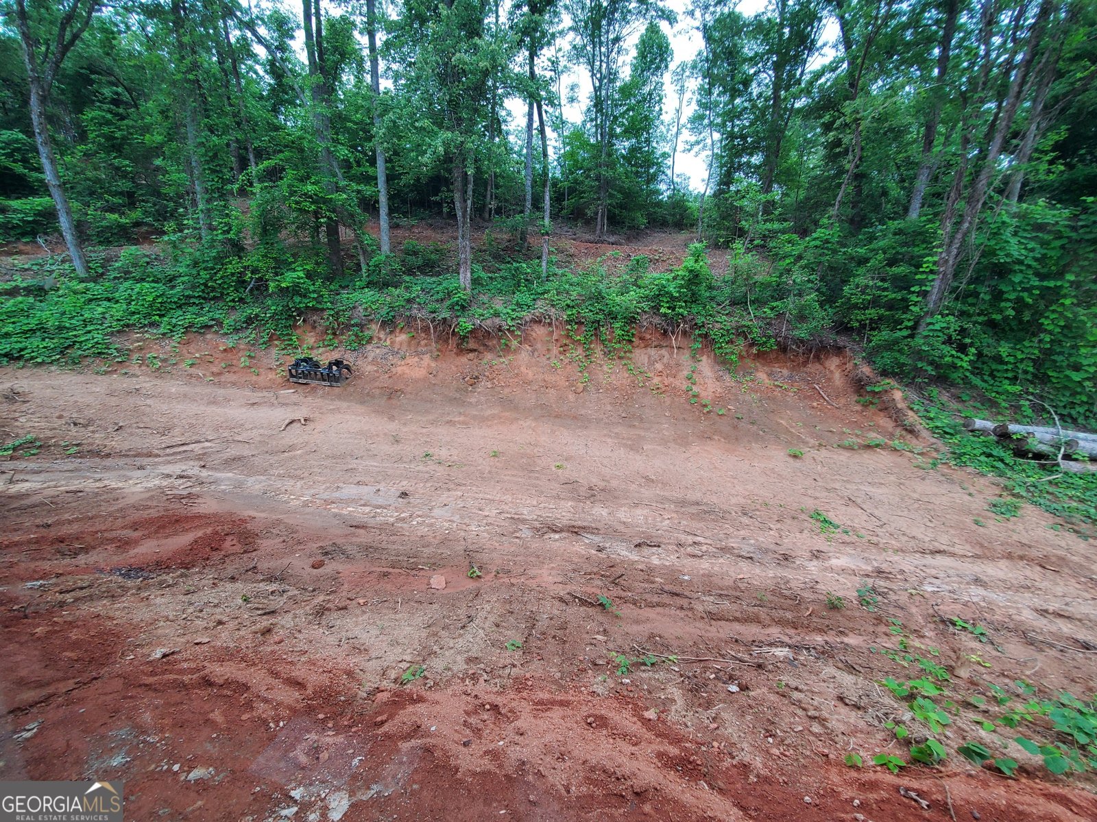 75 Timber Creek Marble Hill - Photo 12