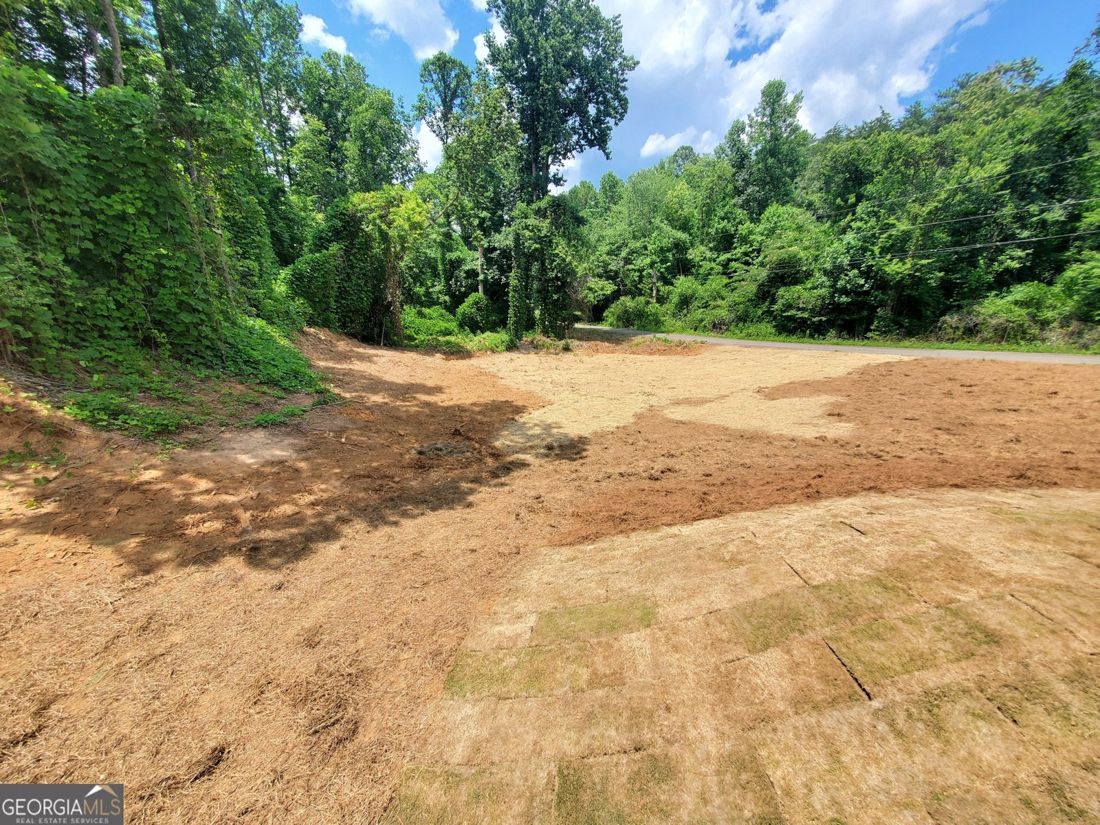 75 Timber Creek Marble Hill - Photo 24