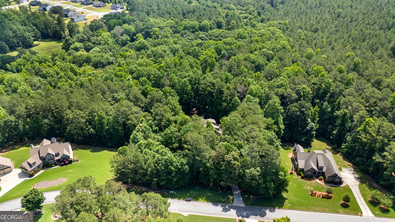 58 Drews Ridge Drive Newnan - Photo 73