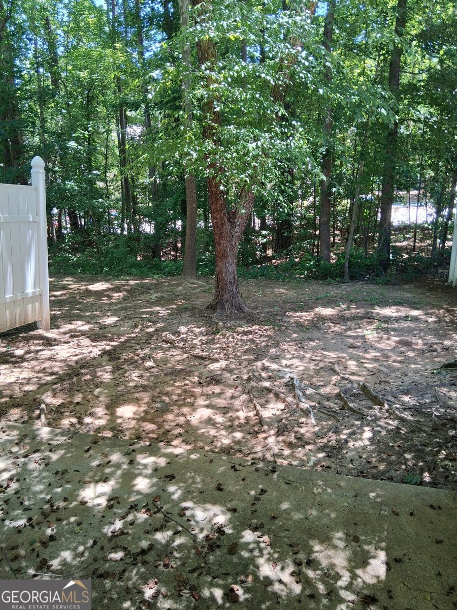2846 Norfair Loop Lithonia - Photo 31