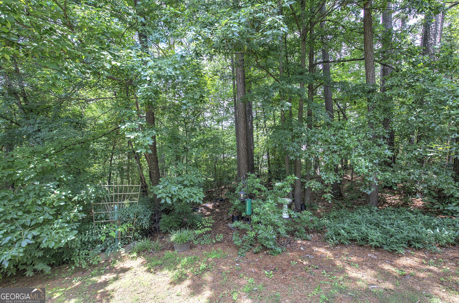 105 Timber Ridge Drive Cartersville - Photo 36