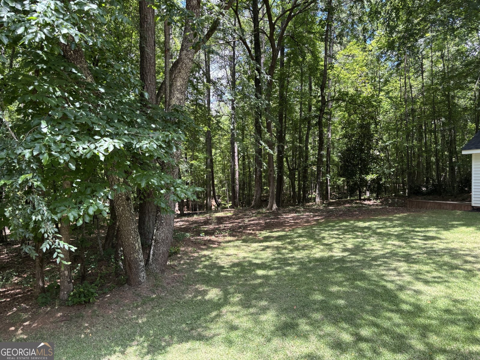 40 Frances Turn Sharpsburg - Photo 34