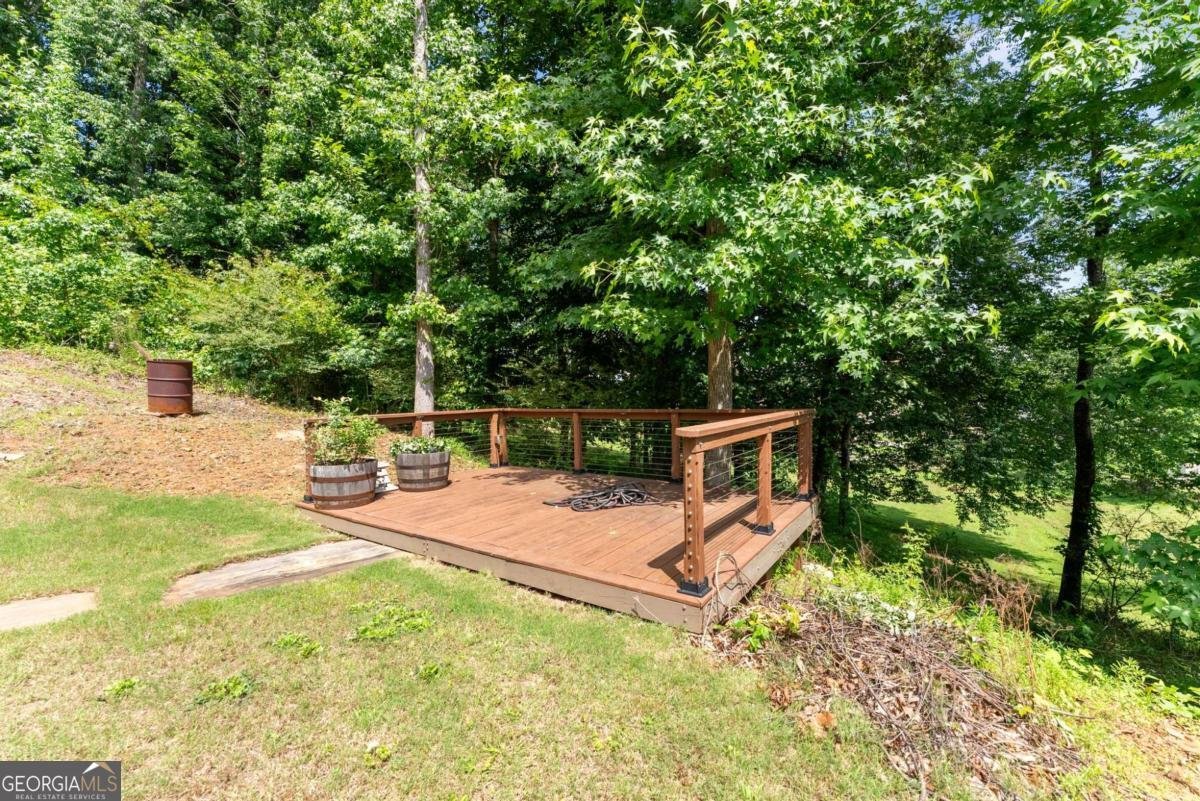 67 Blue Sky Drive Dawsonville - Photo 38