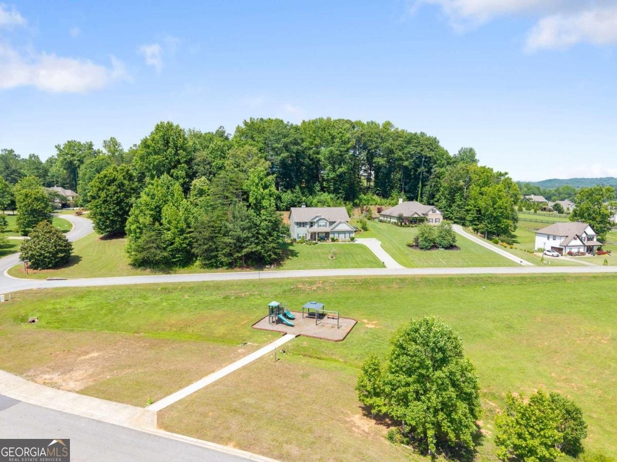 67 Blue Sky Drive Dawsonville - Photo 46