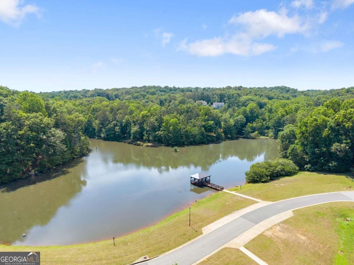 67 Blue Sky Drive Dawsonville - Photo 48