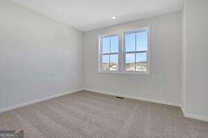 4232 Adler Circle Buford - Photo 41