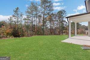 4232 Adler Circle Buford - Photo 51