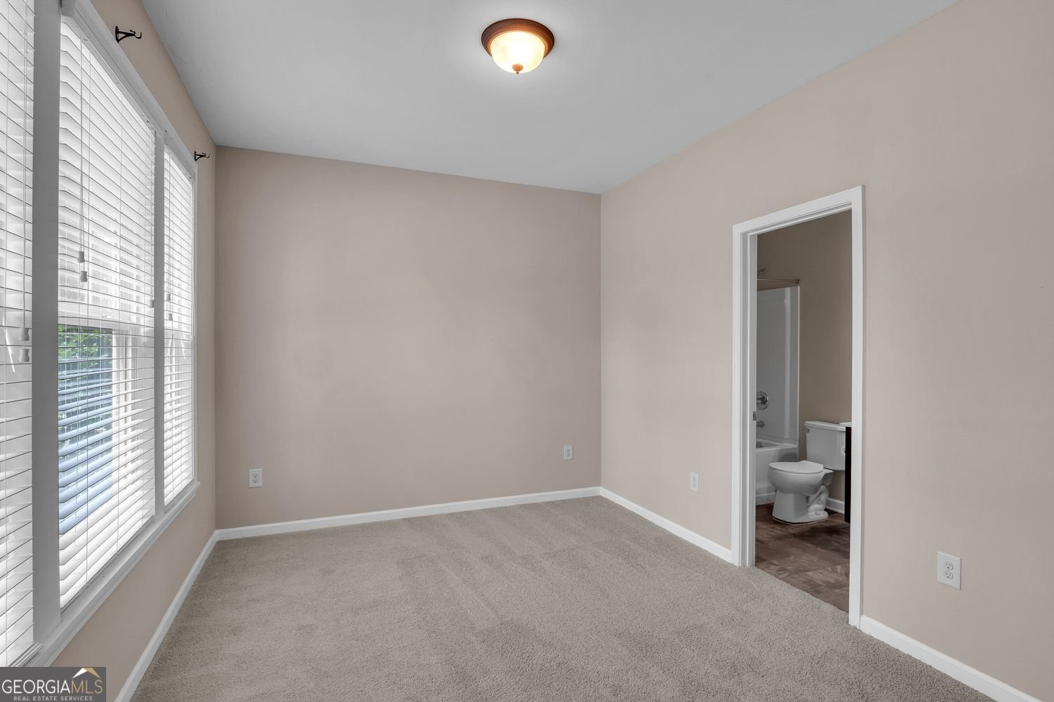 1158 Liberty Park Drive Braselton - Photo 18