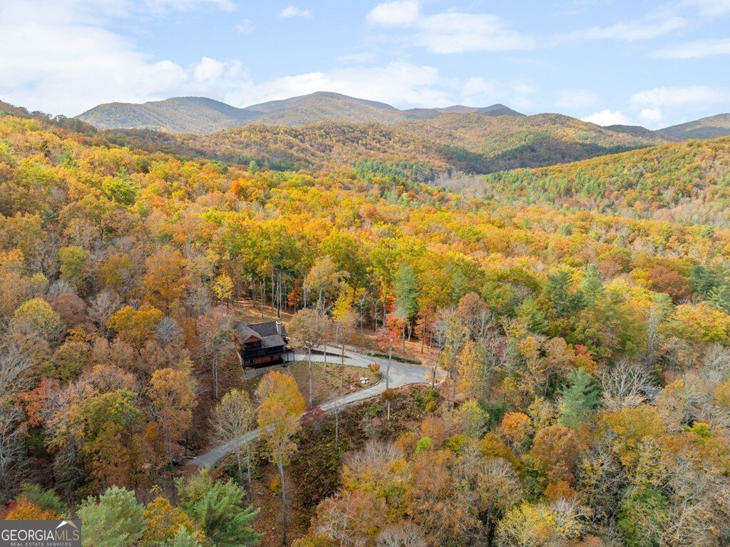 247 Toccoa Overlook Drive Blue Ridge - Photo 37