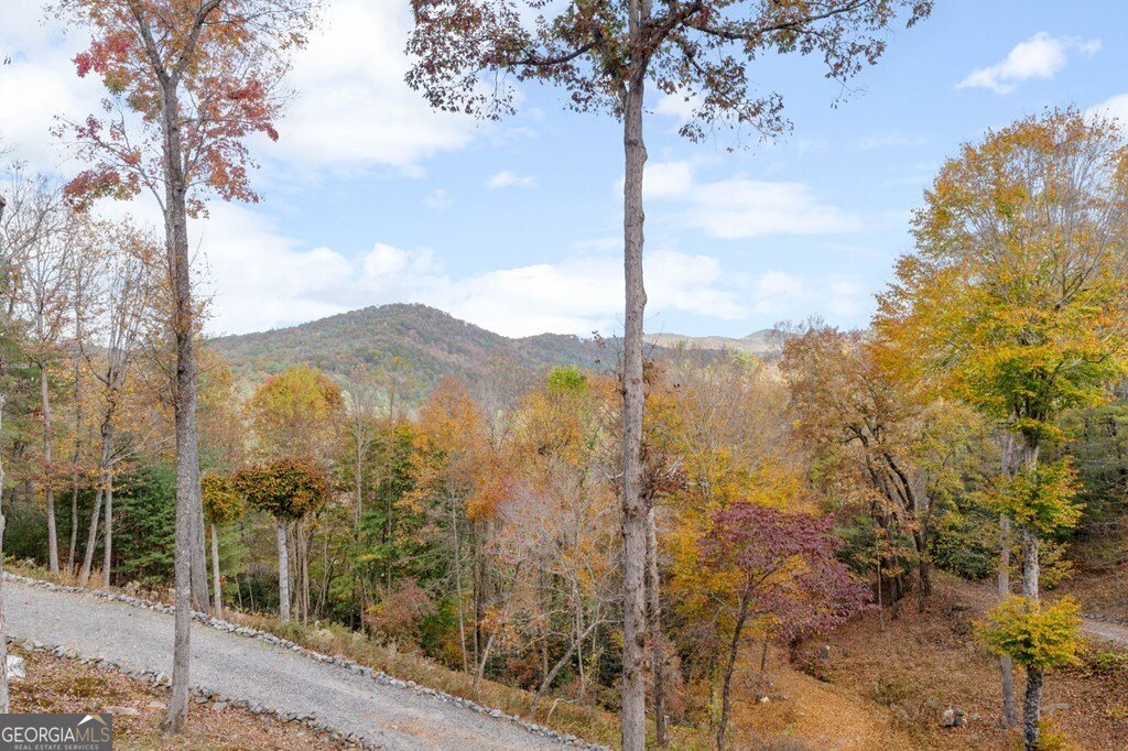 247 Toccoa Overlook Drive Blue Ridge - Photo 40