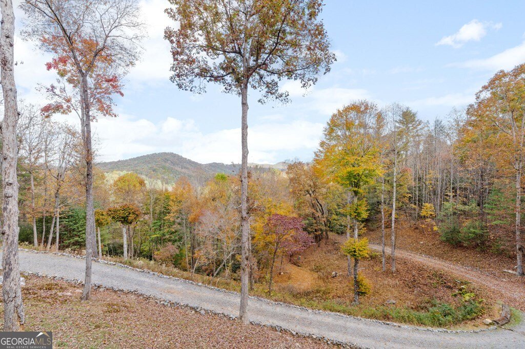 247 Toccoa Overlook Drive Blue Ridge - Photo 45