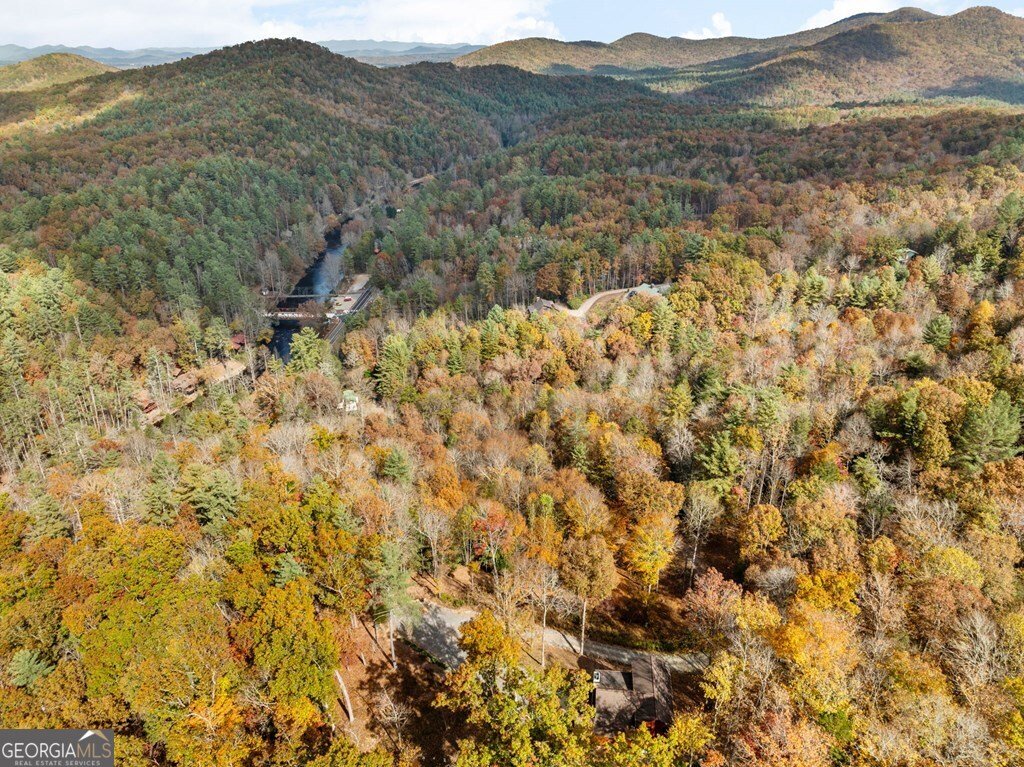 247 Toccoa Overlook Drive Blue Ridge - Photo 46