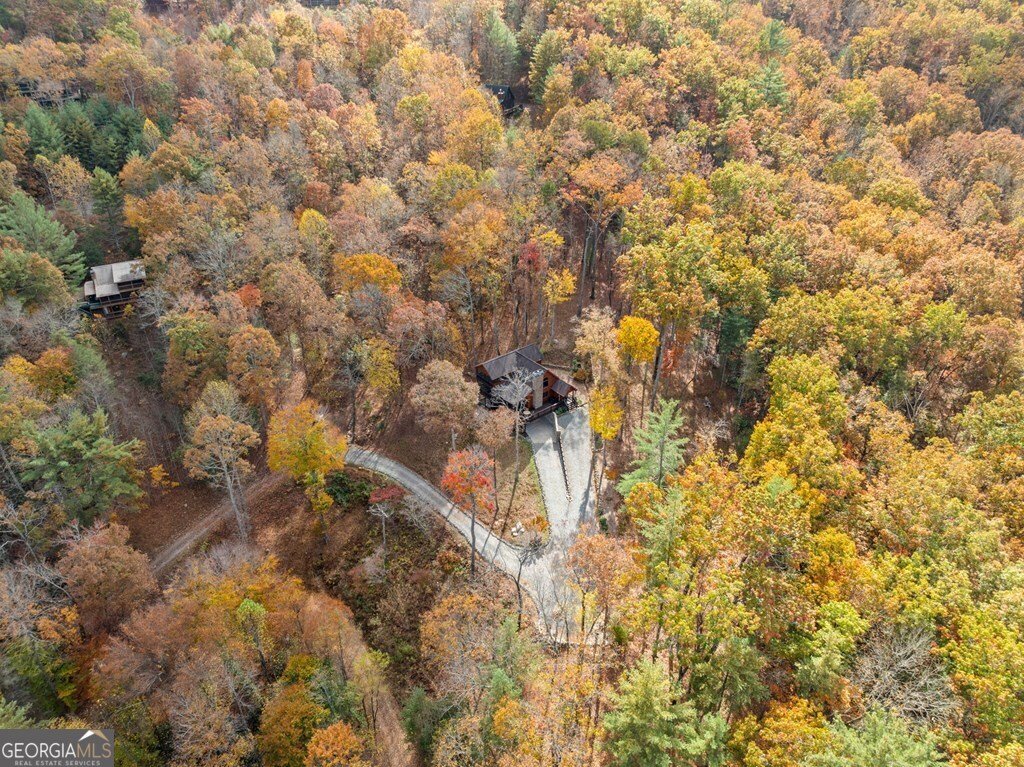 247 Toccoa Overlook Drive Blue Ridge - Photo 47