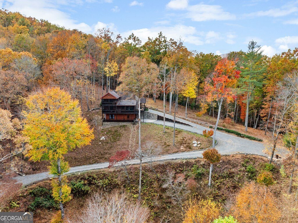 247 Toccoa Overlook Drive Blue Ridge - Photo 48
