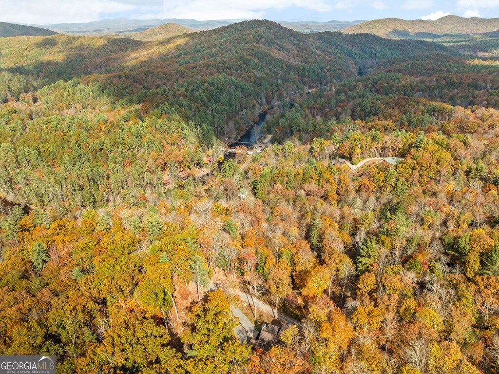 247 Toccoa Overlook Drive Blue Ridge - Photo 49