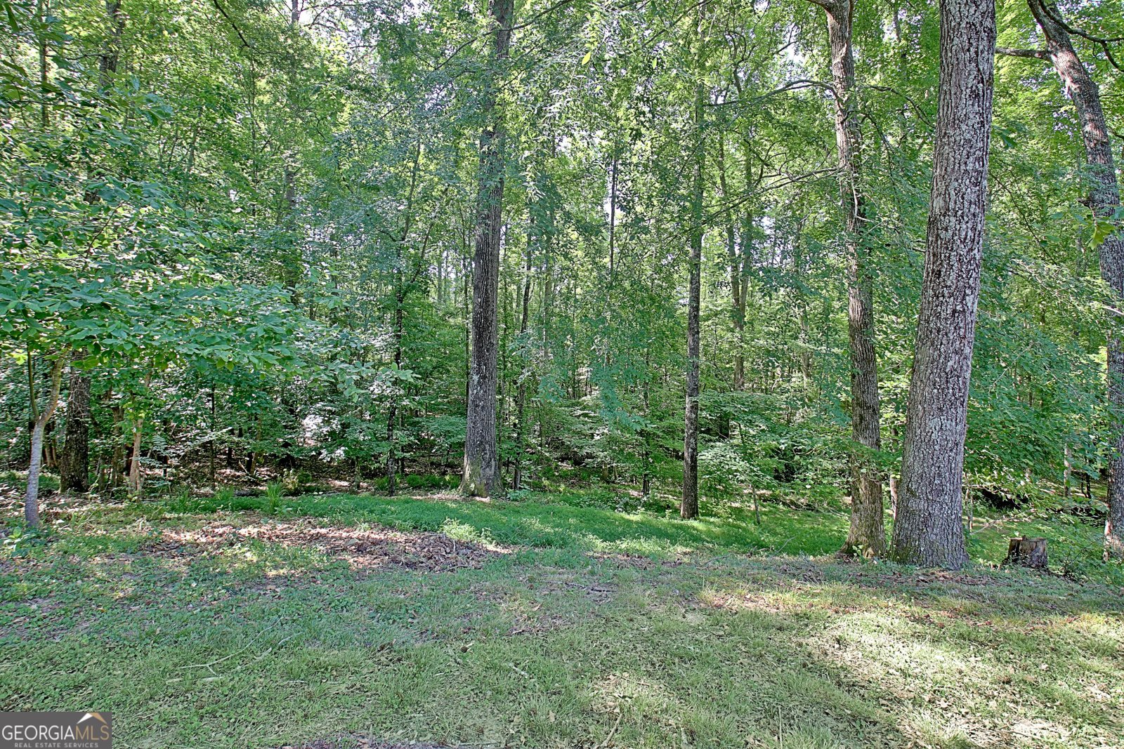 130 Otara Woods Drive Newnan - Photo 39