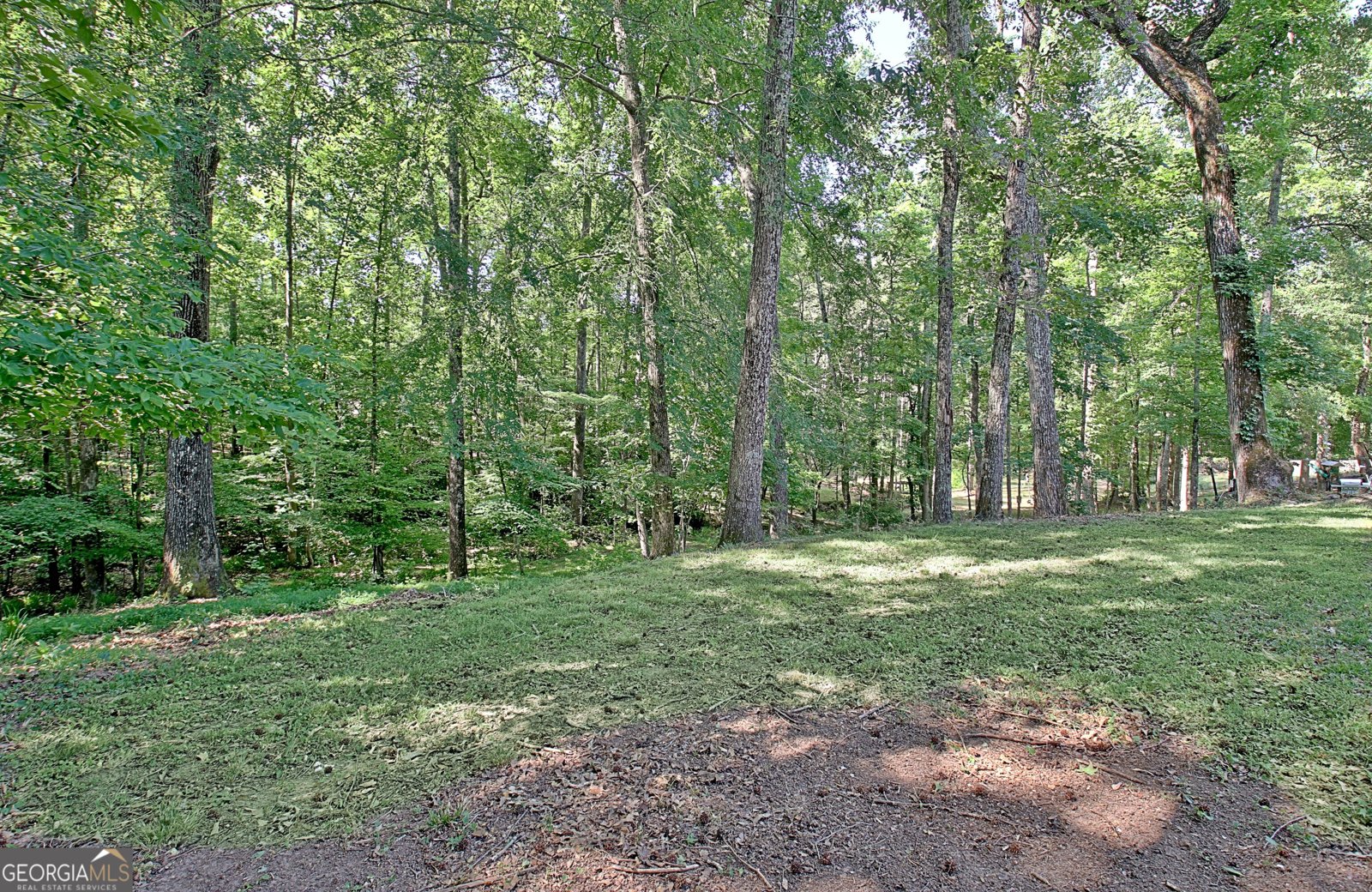 130 Otara Woods Drive Newnan - Photo 40