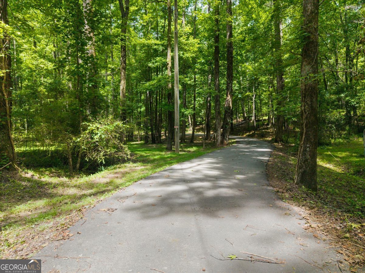 512 Mill Pond Road Newborn - Photo 43