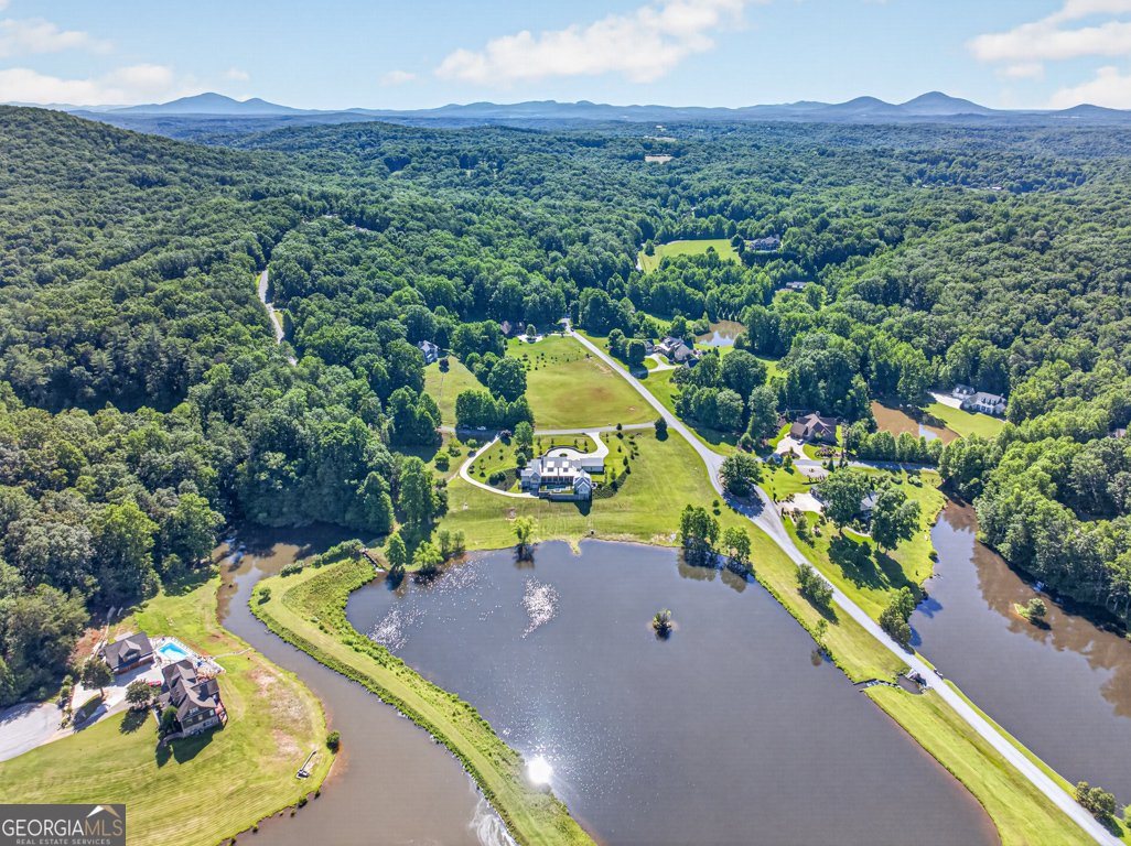 536 Green Meadows Dahlonega - Photo 69