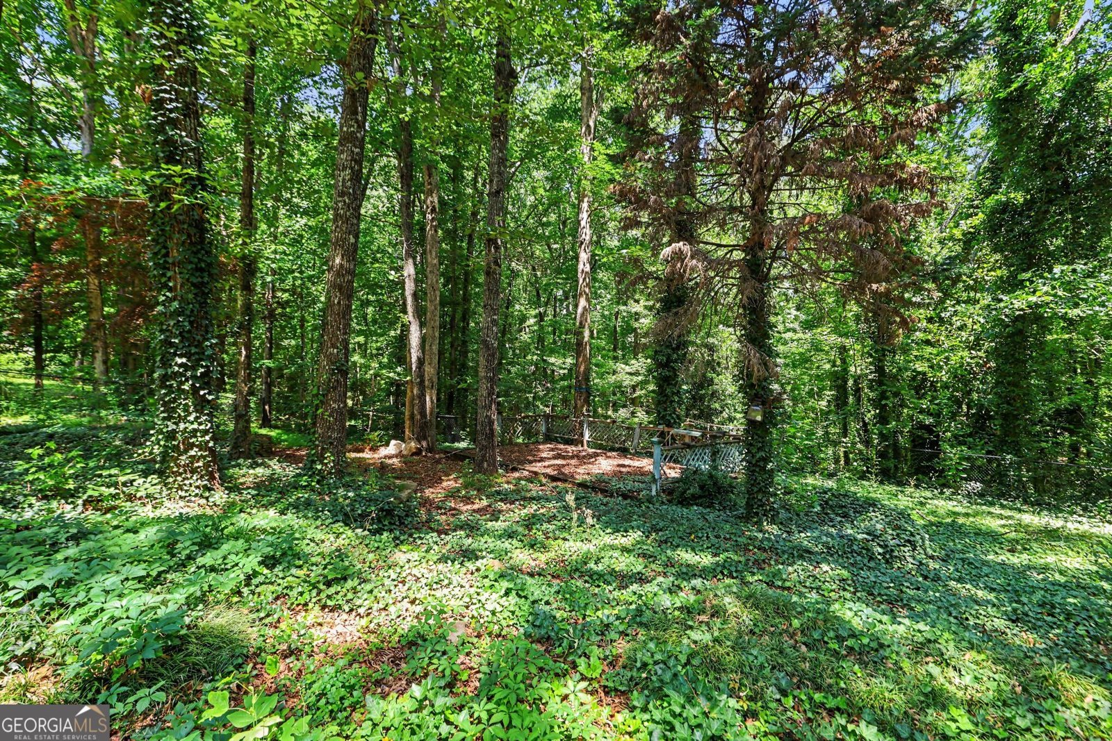 6726 Pin Oak Drive Douglasville - Photo 29