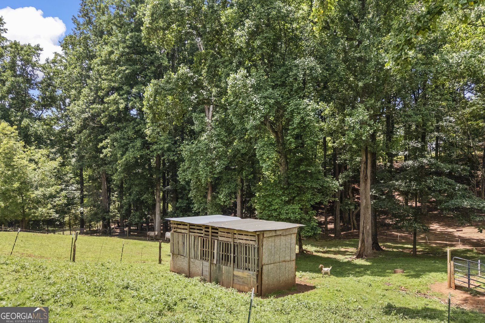 8080 Milford Road Gainesville - Photo 47