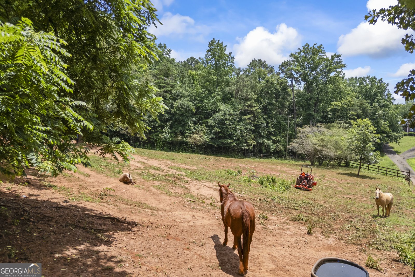 8080 Milford Road Gainesville - Photo 50