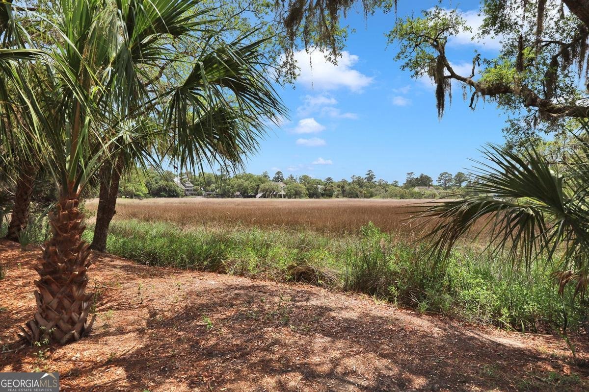 14 Dockside Drive Savannah - Photo 60