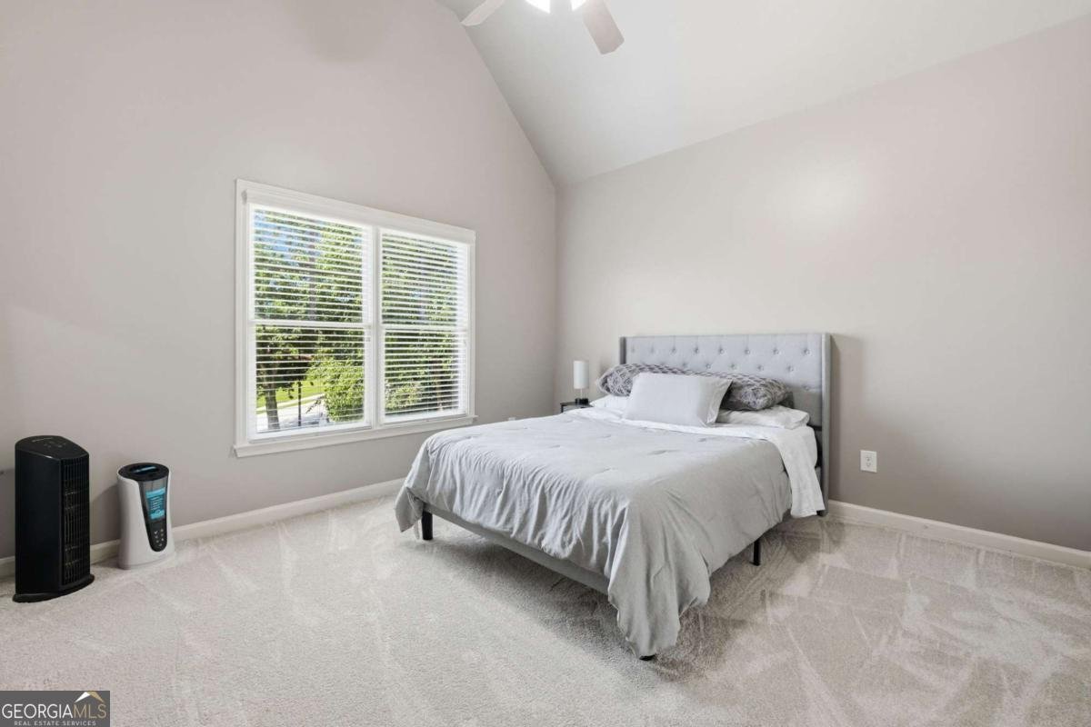 4607 Cardinal Ridge Way Flowery Branch - Photo 46