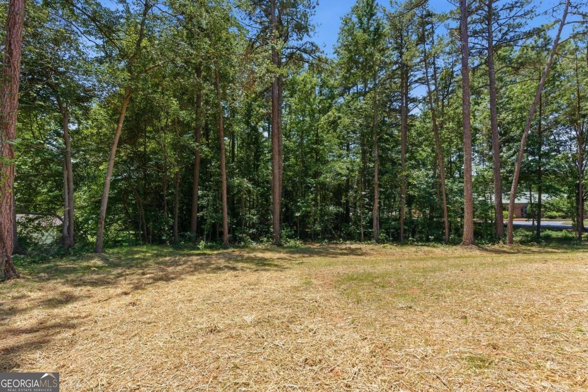 191 Fire Tower Road Cartersville - Photo 25