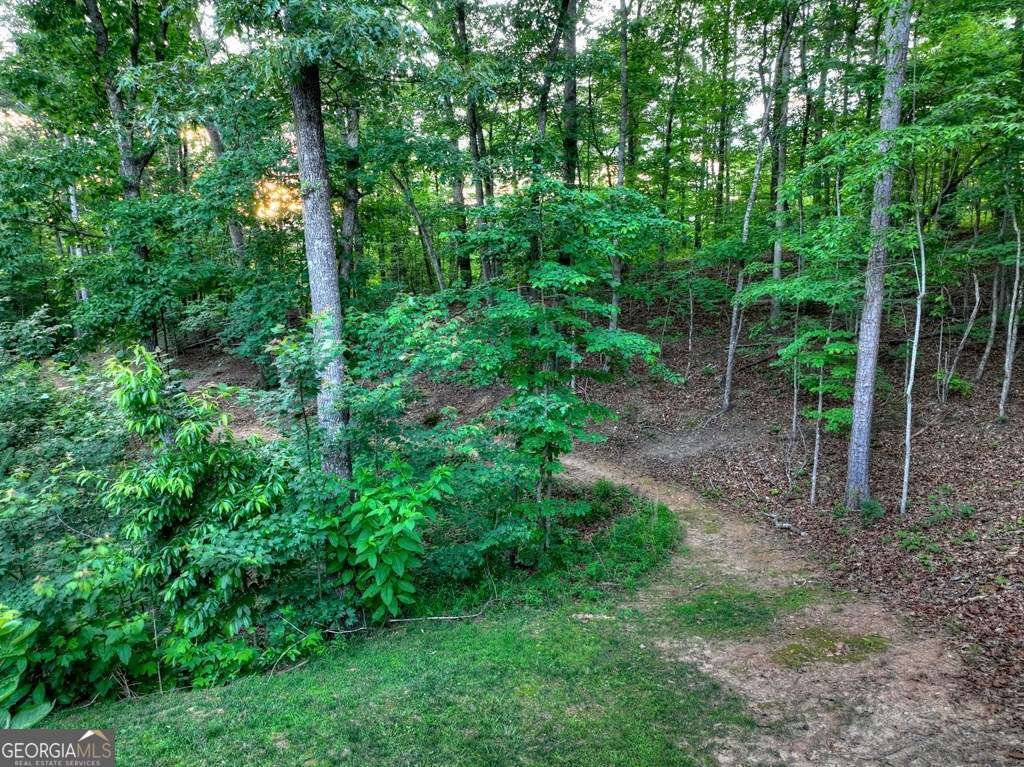 270 Wild Oaks Way Ellijay - Photo 44