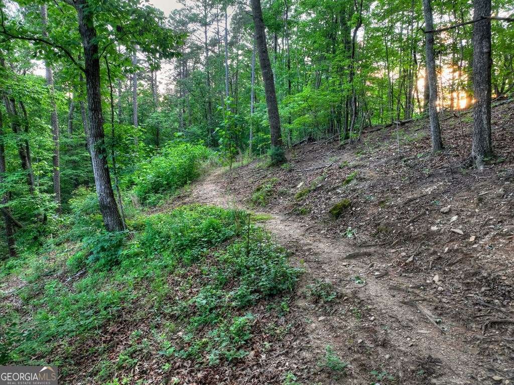 270 Wild Oaks Way Ellijay - Photo 45