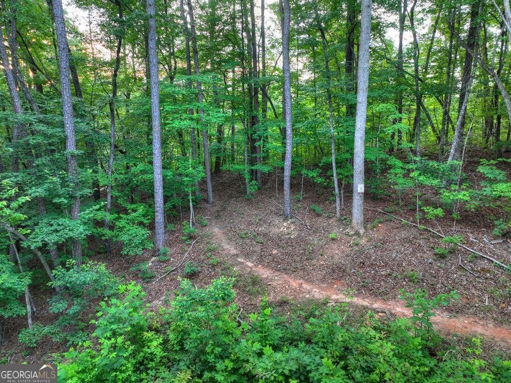 270 Wild Oaks Way Ellijay - Photo 46