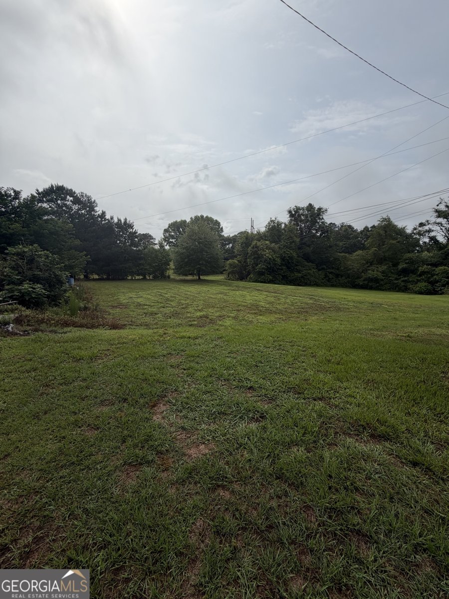 598 Corinth Road Hogansville - Photo 9