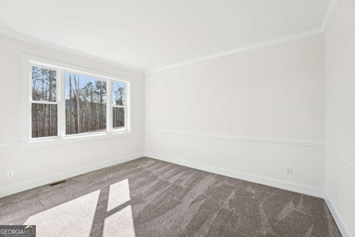 569 Byrd Mountain Lane Canton - Photo 29