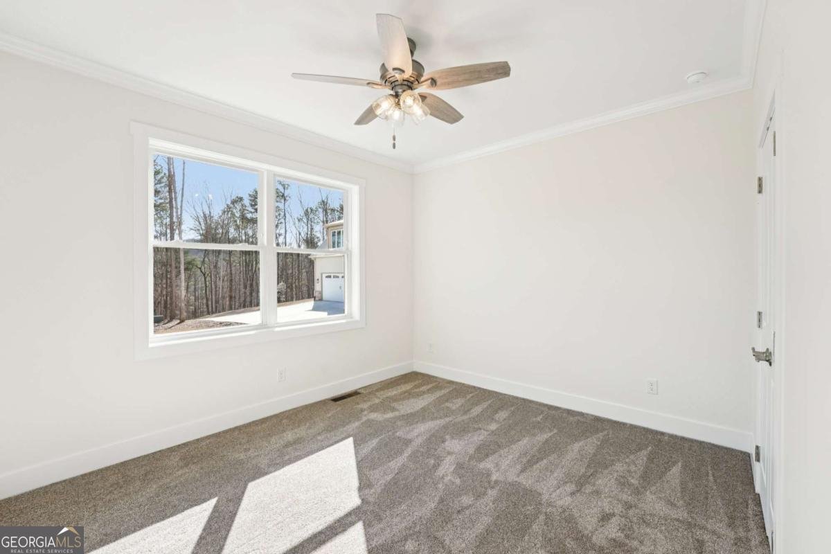 569 Byrd Mountain Lane Canton - Photo 39