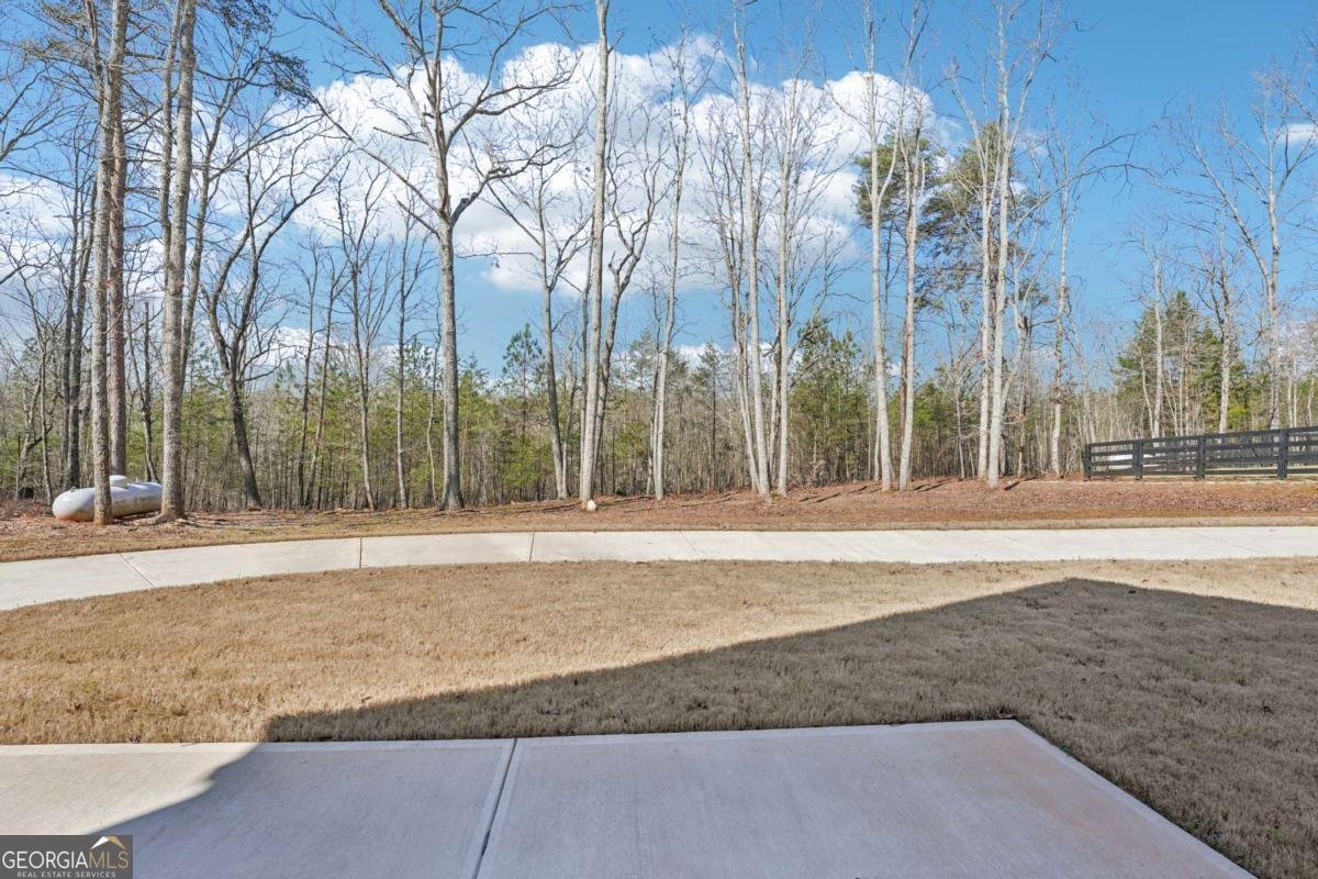569 Byrd Mountain Lane Canton - Photo 83