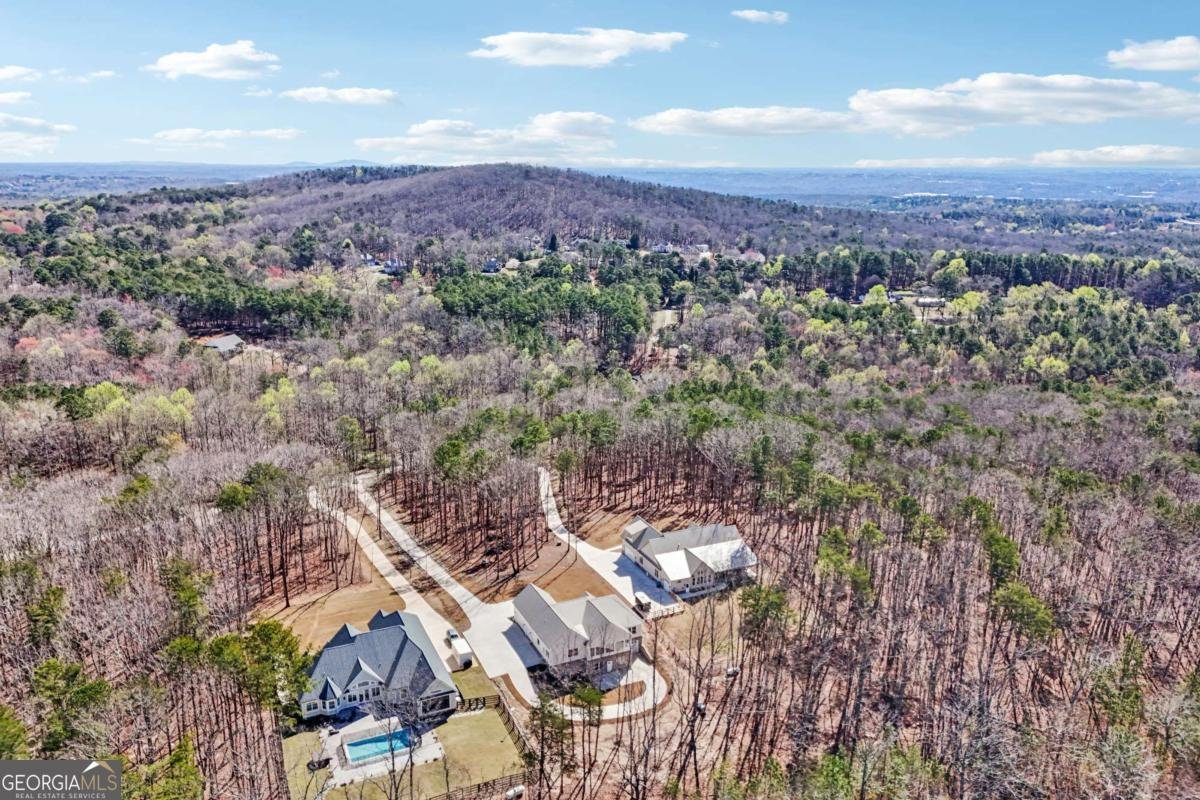 569 Byrd Mountain Lane Canton - Photo 91