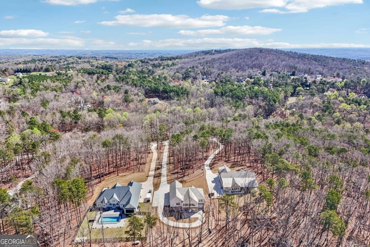 569 Byrd Mountain Lane Canton - Photo 93